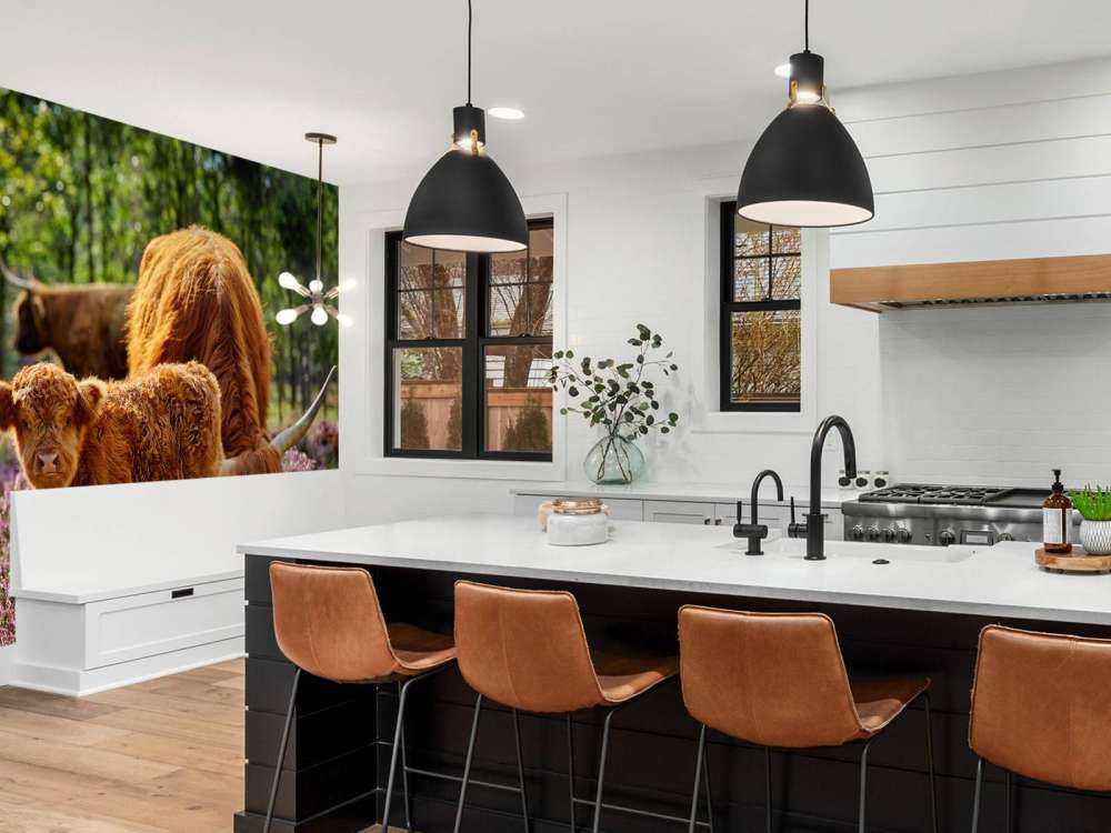 Familie Schottische Hochländer