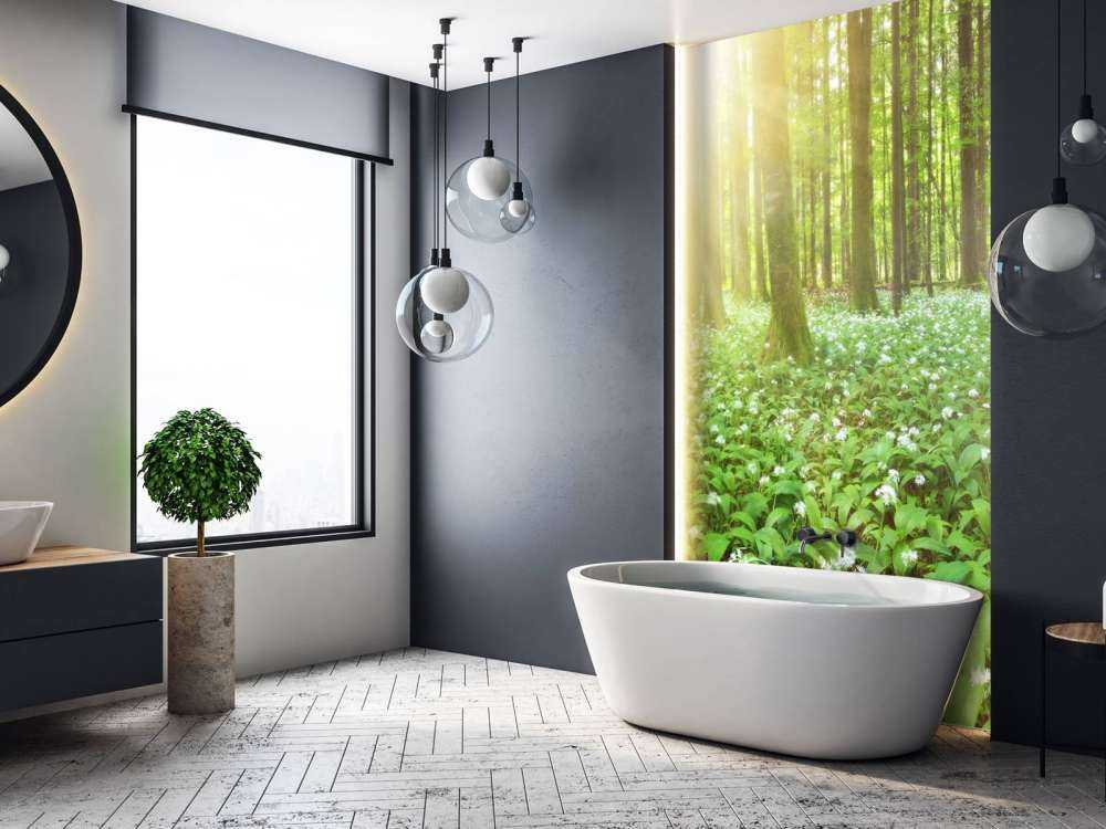 Wilder Wald mit Sonnenaufgang