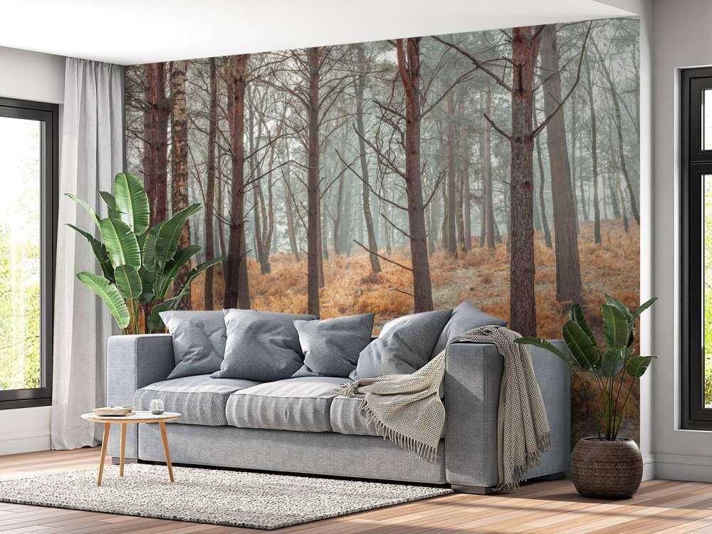 Wald im Herbst