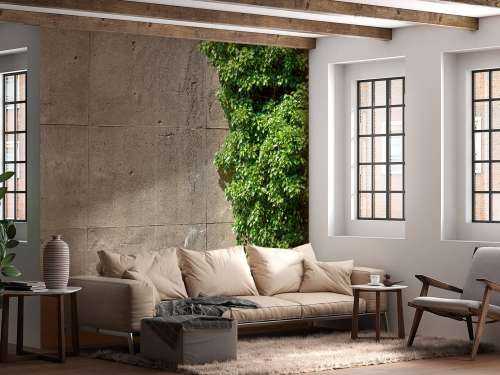 Beton mit Strauch