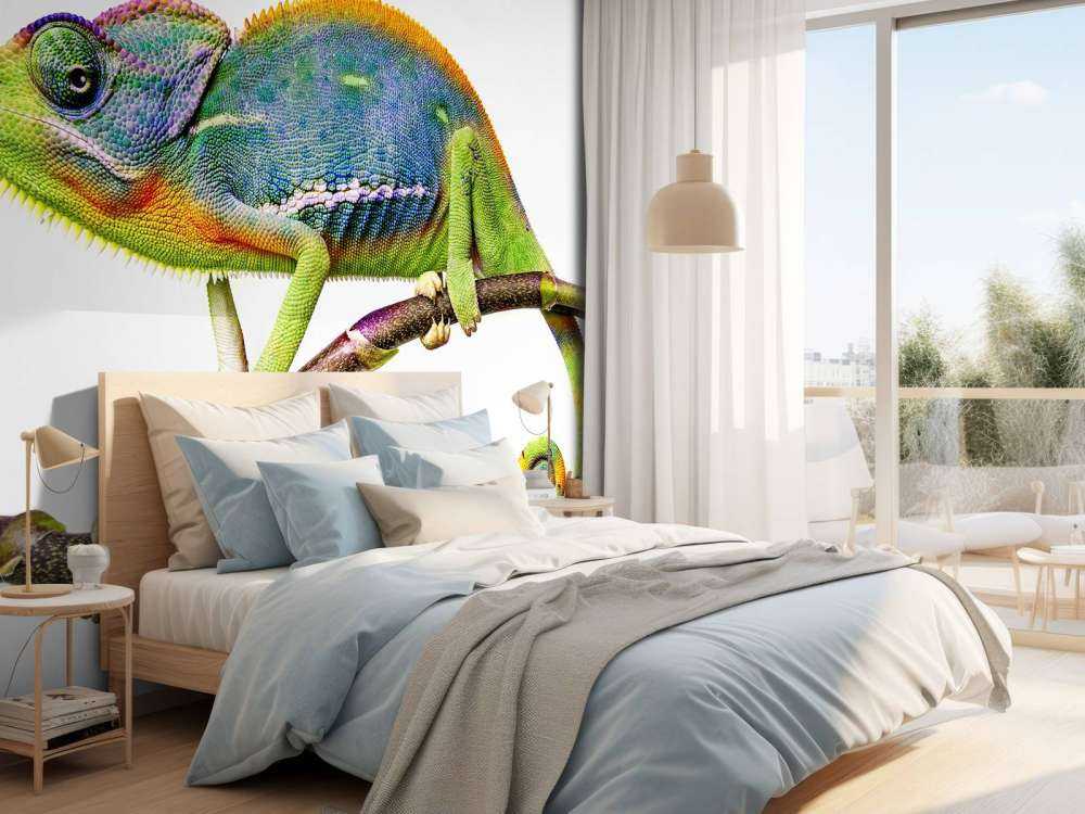 Chamäleon