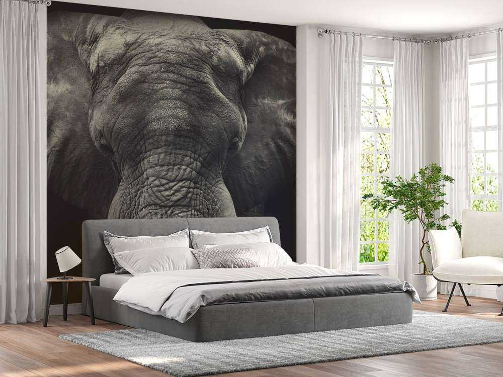 Elefant-Nahaufnahme