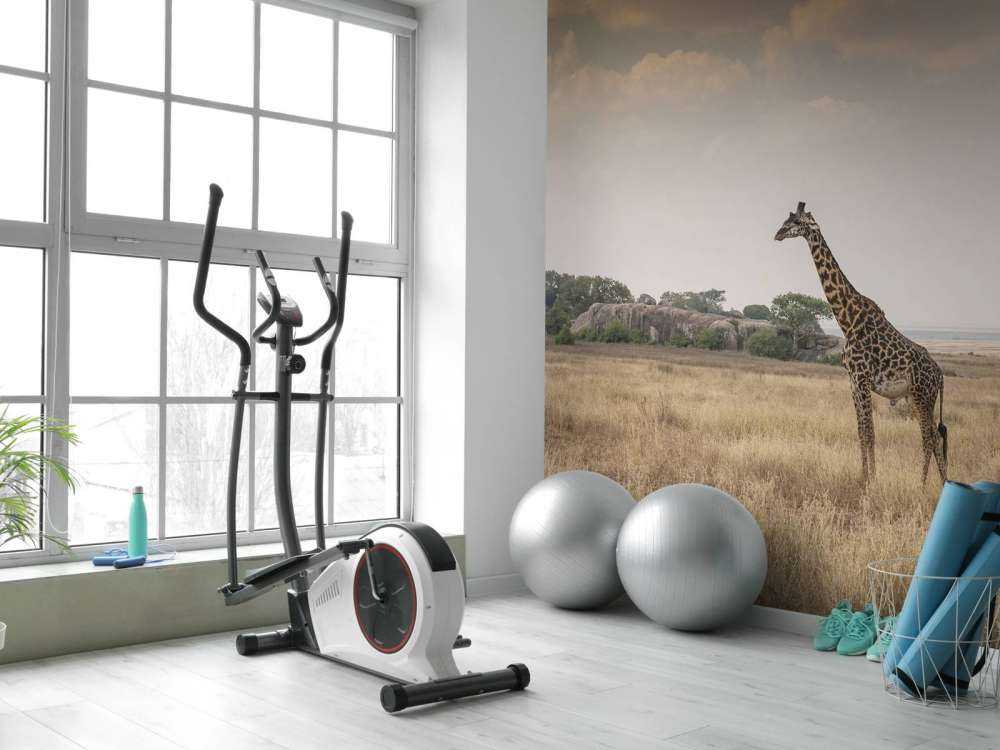 Giraffe in der Savanne