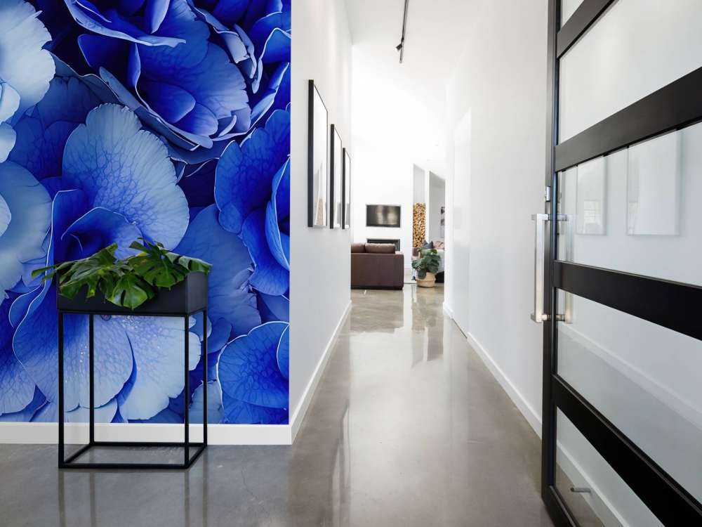 Nahaufnahme von blauen Hortensien