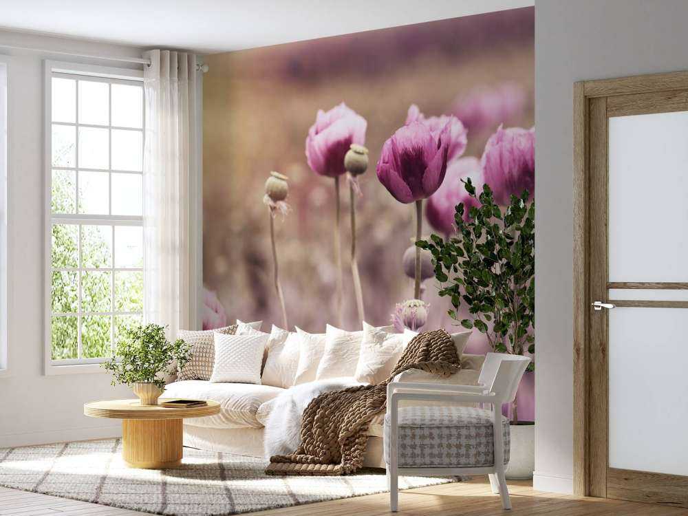 Rosa Mohnblumen