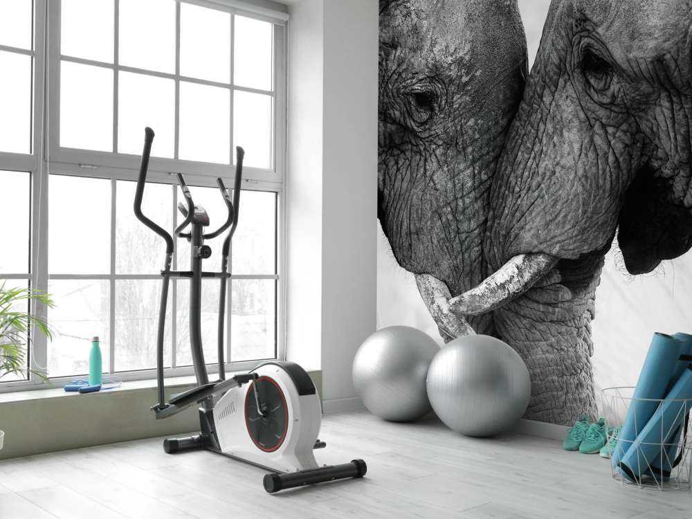 Fototapete Elefanten