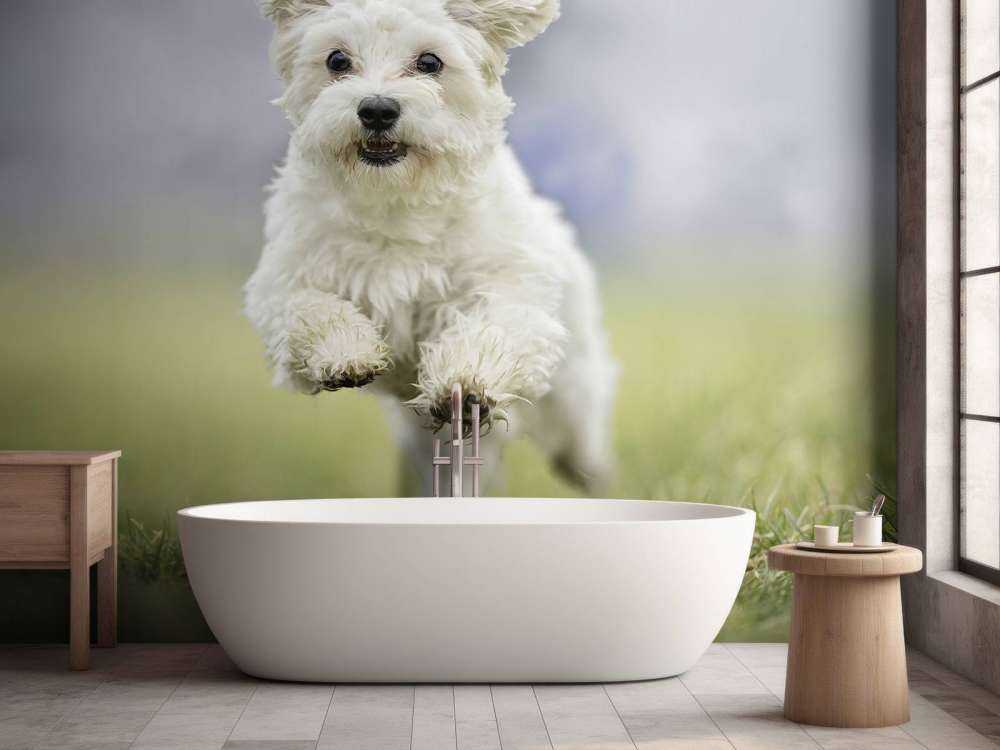 Laufender Hund