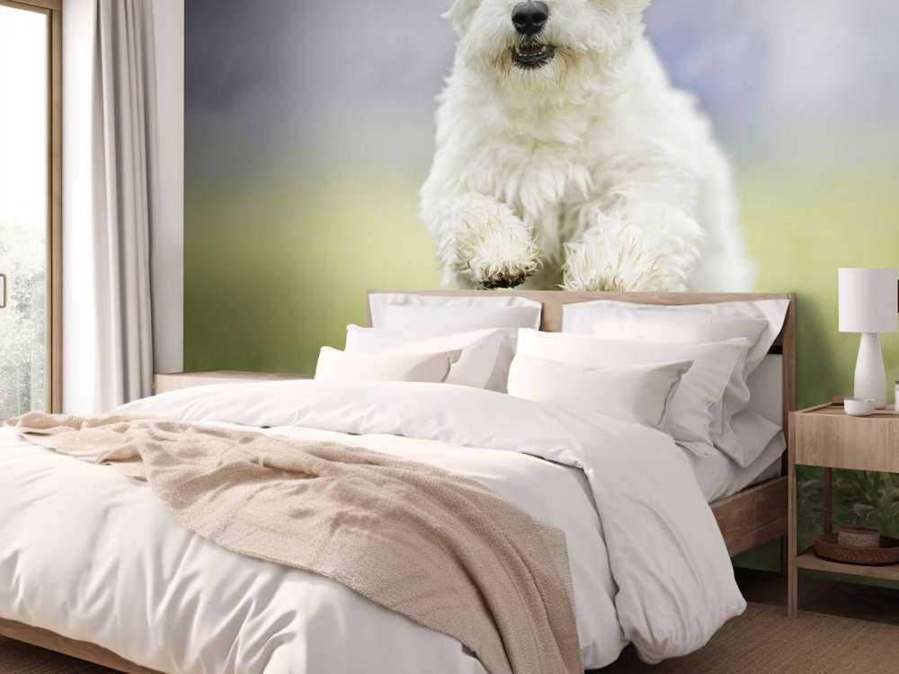 Laufender Hund