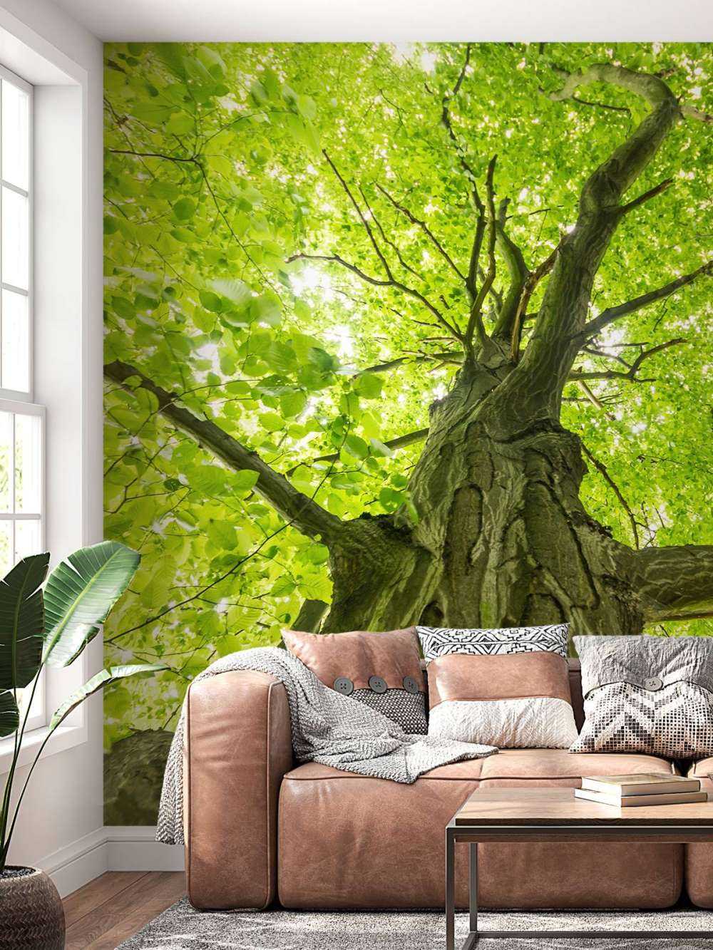 Großer Baum im Wald