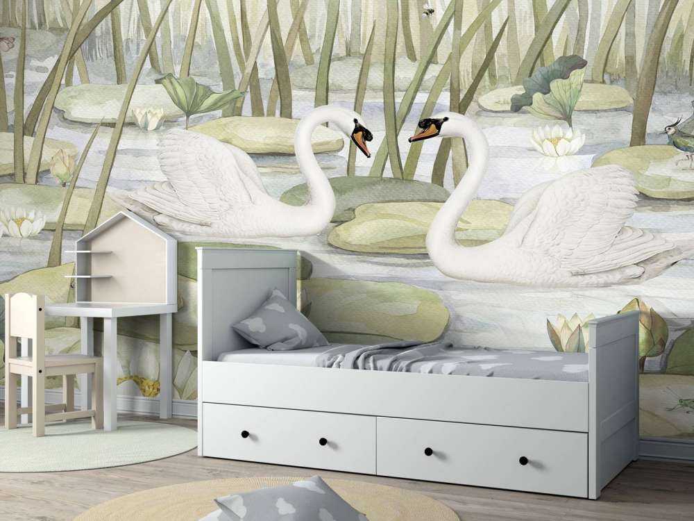 Spectacular Swans