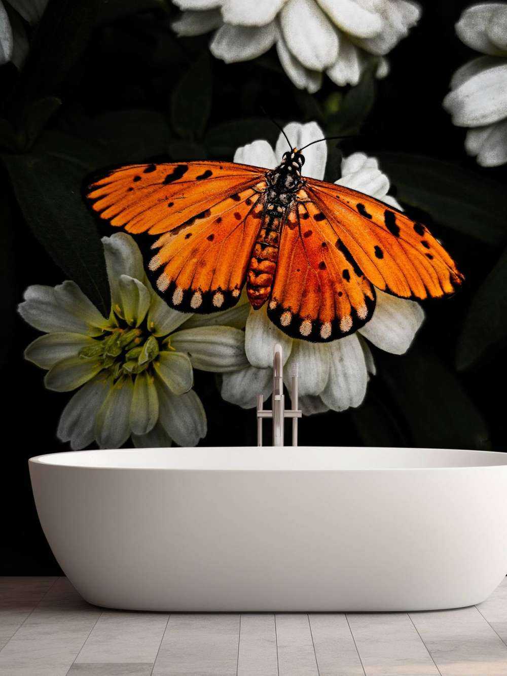 Monarchfalter auf einer Blume
