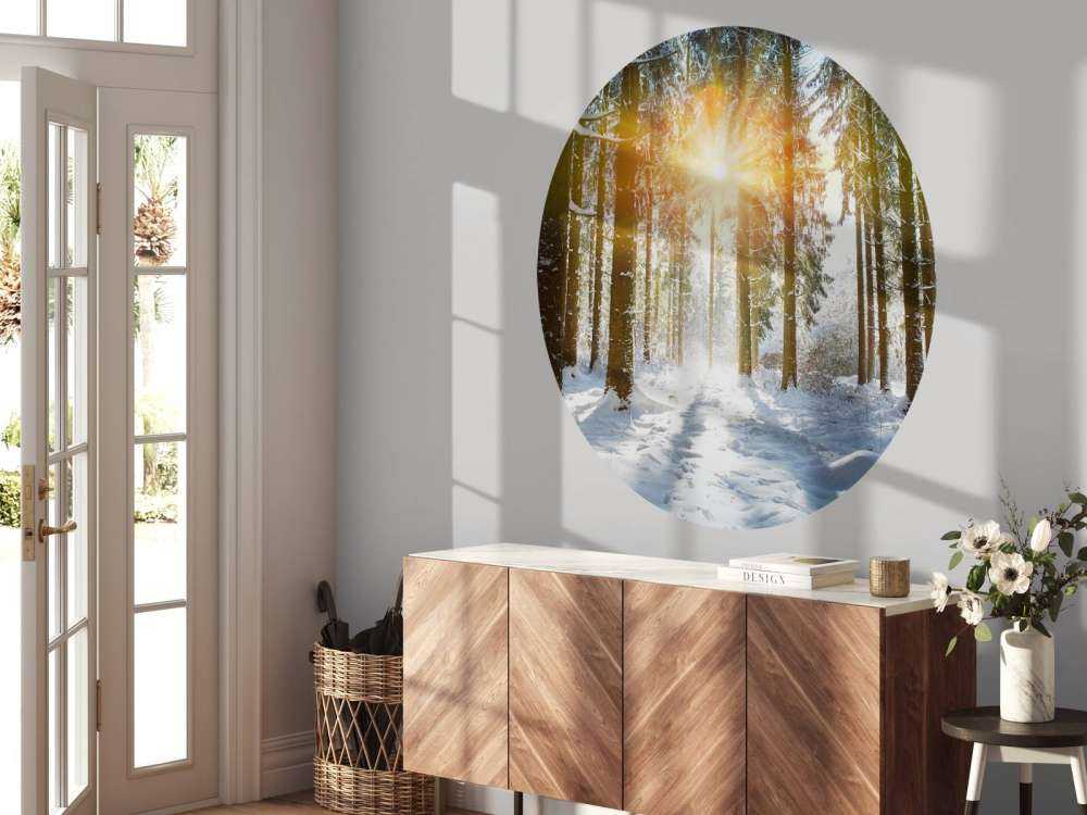 Sonnenlicht im Winterwald