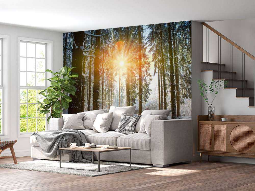 Sonnenlicht im Winterwald
