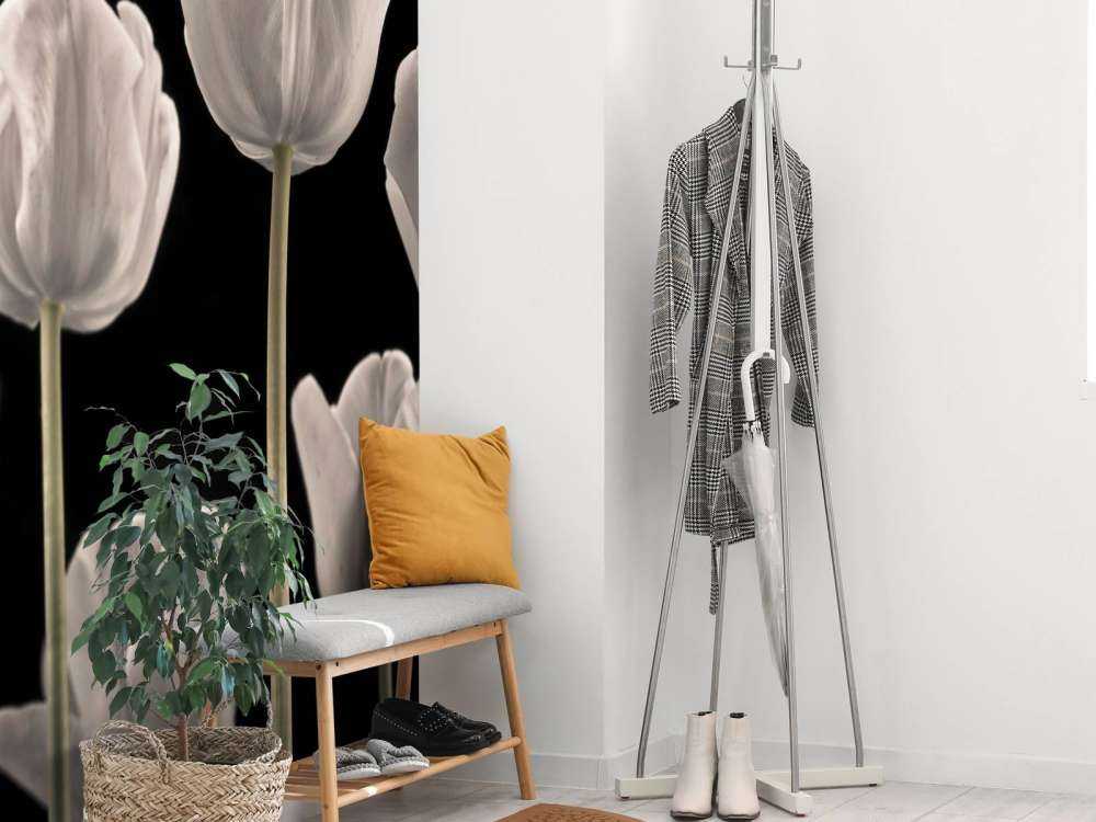 Verschiedene Tulpen