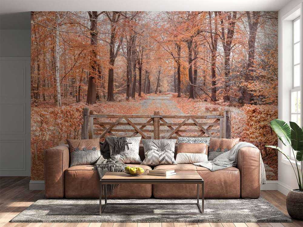 Passage zum Herbstwald