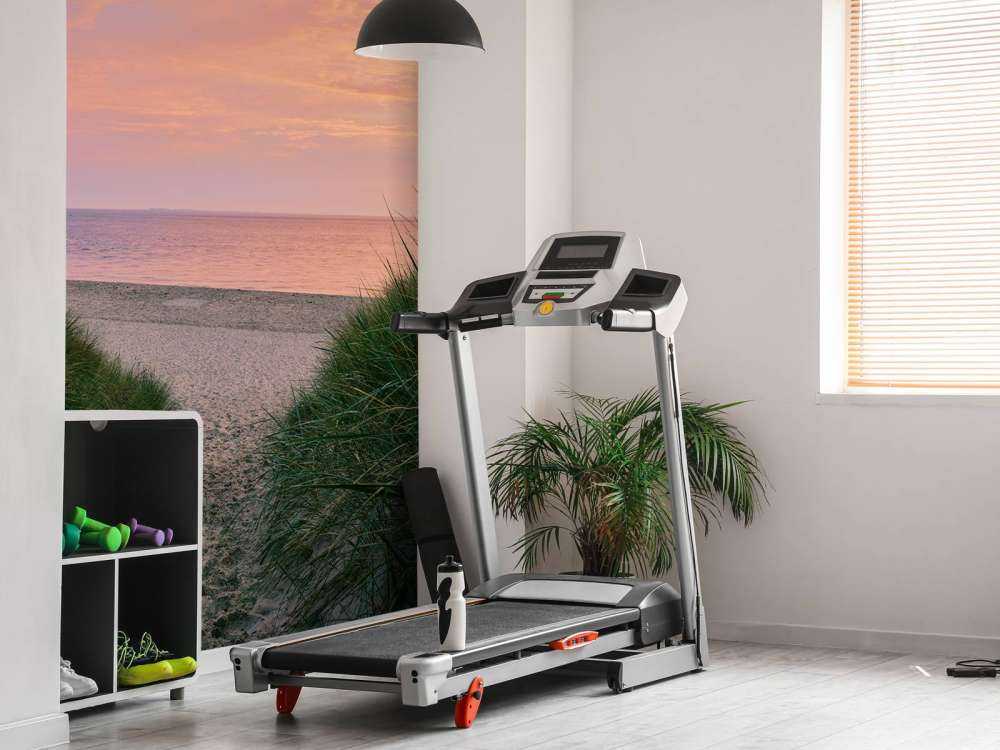 Dünenpassage mit Sonnenaufgang