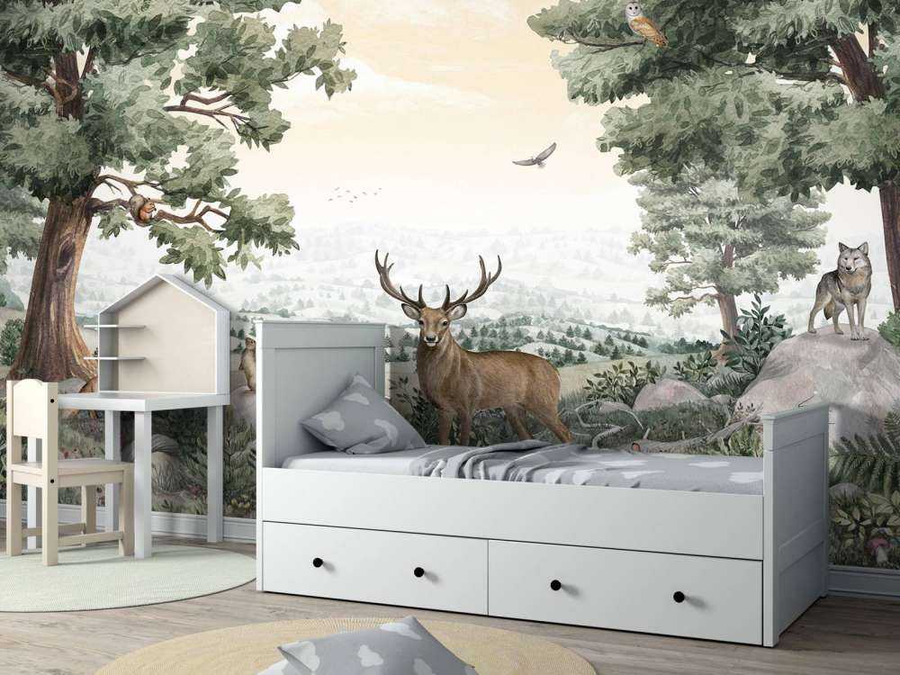 Forest Vista