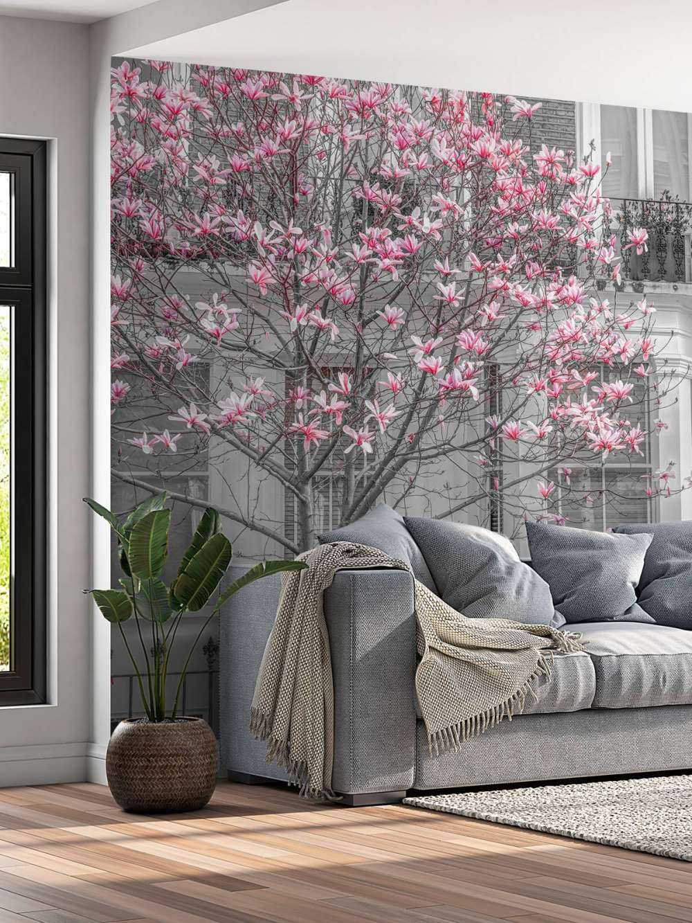 Blühender Magnolienbaum