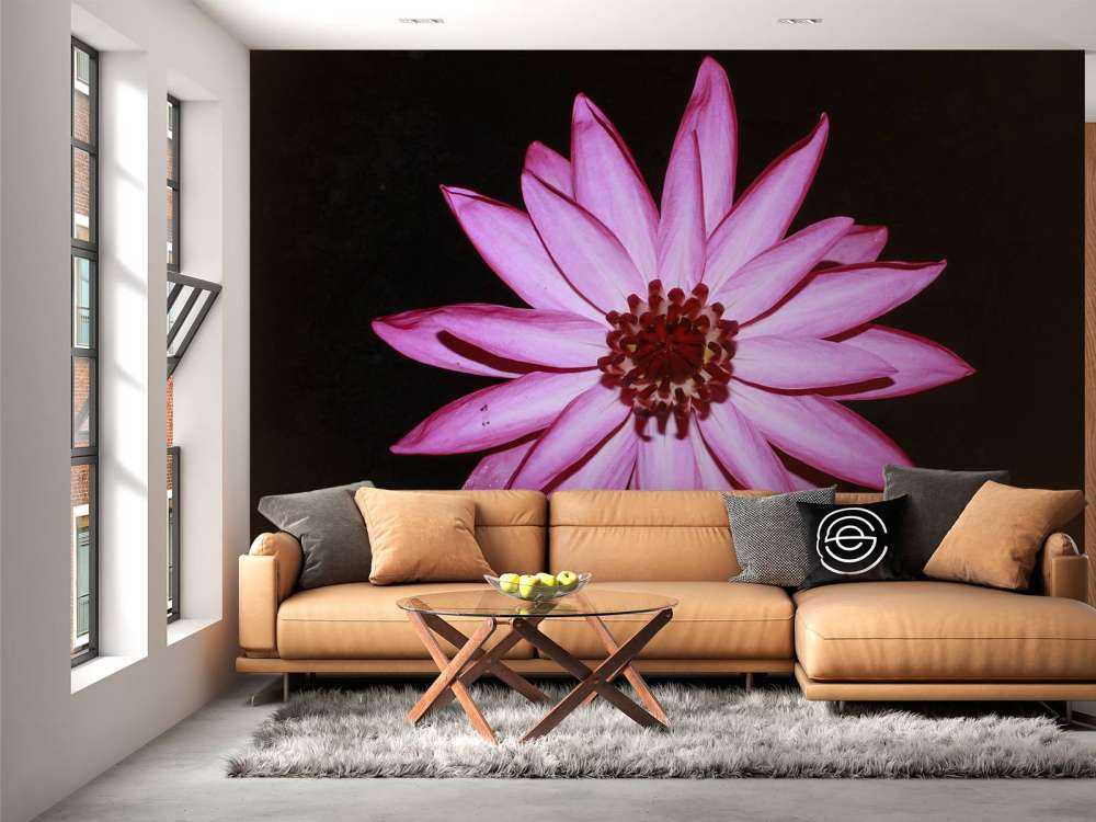 Lotusblume von oben
