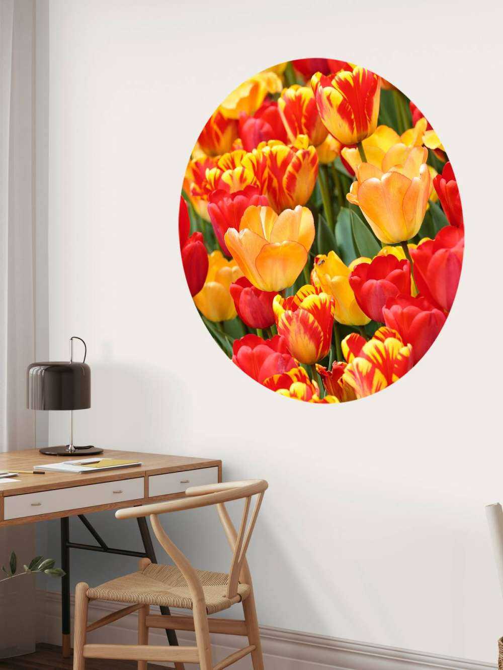 Farbige Tulpen