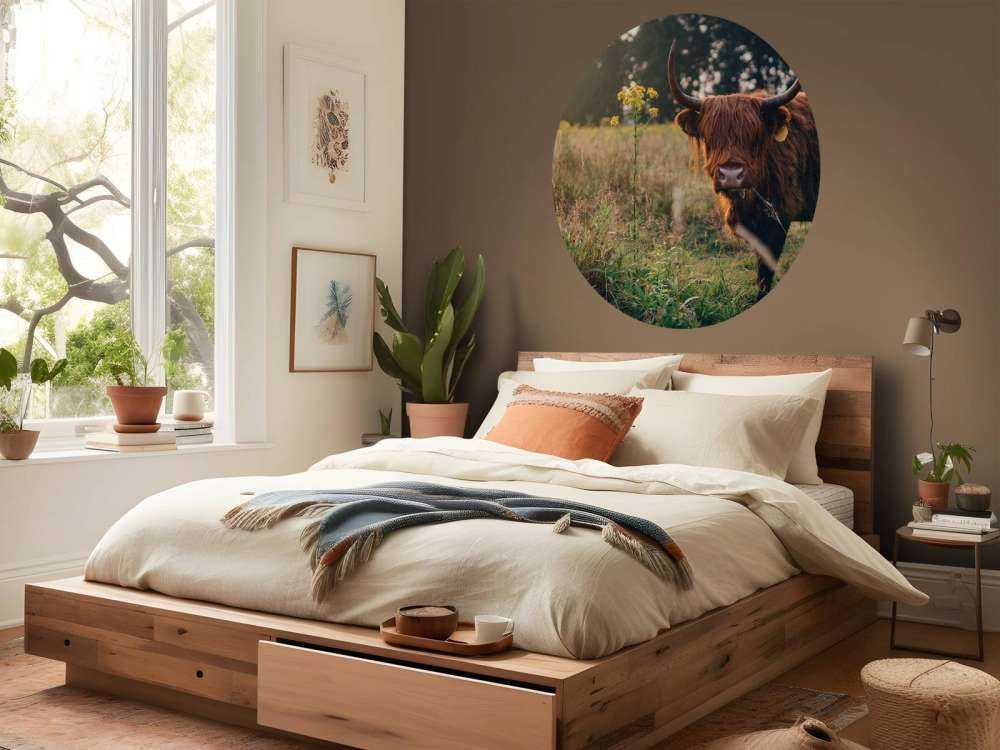 Schottischer Hochländer im hohen Gras