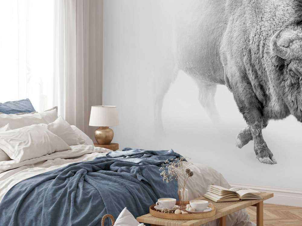 Bison schwarz, weiß