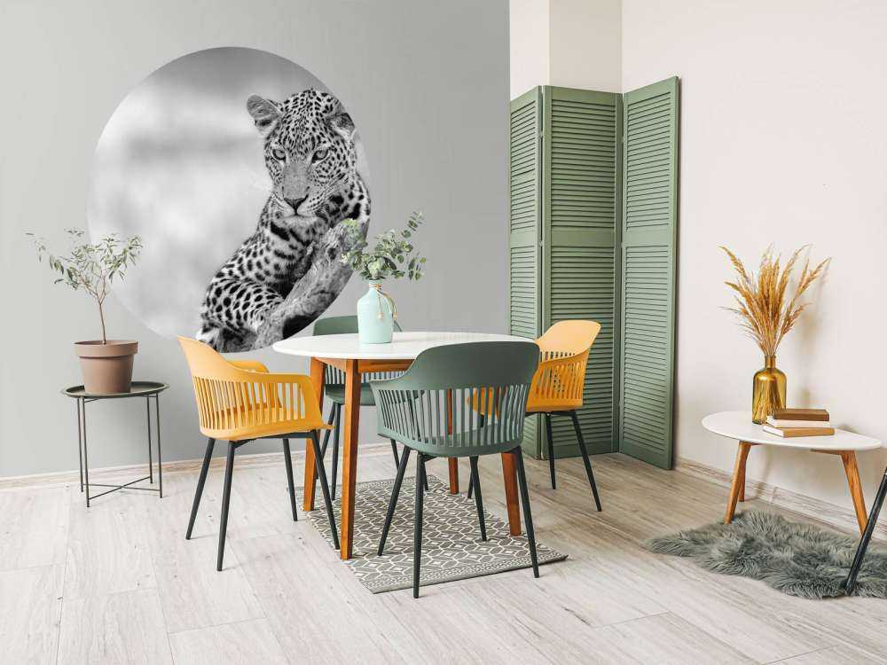 Leopard schwarz, weiß