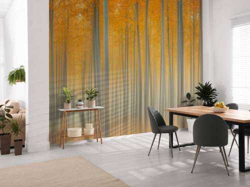 Autumn Light