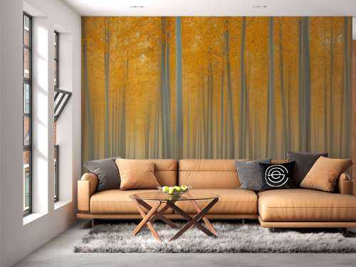 Autumn Light