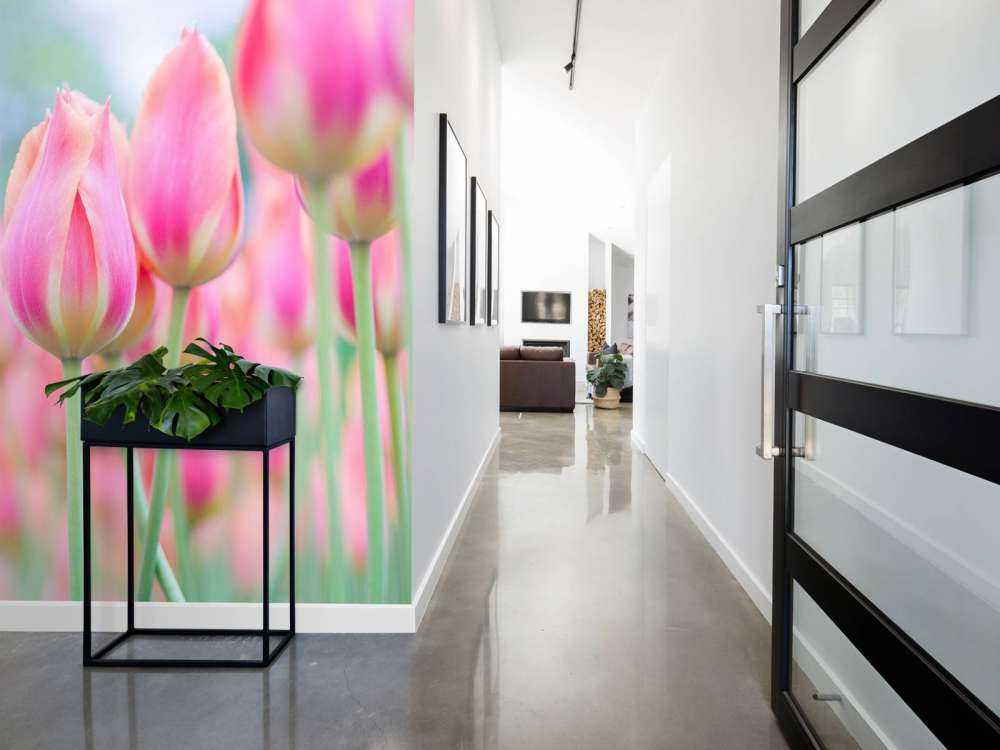 Nahaufnahme rosa Tulpen
