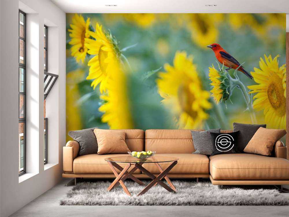Sonnenblumenfeld mit rotem Vogel