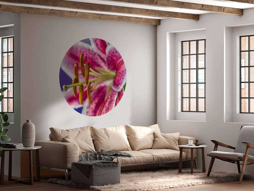 Nahaufnahme rosa Blume