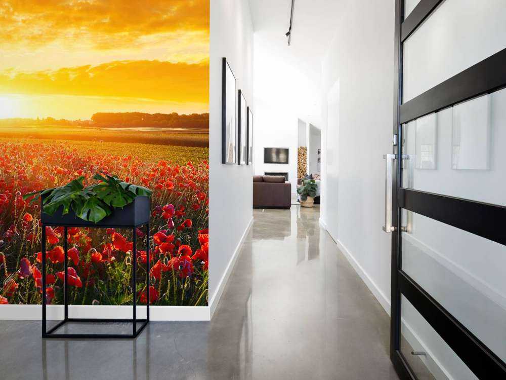 Mohnblumen und Sonnenuntergang