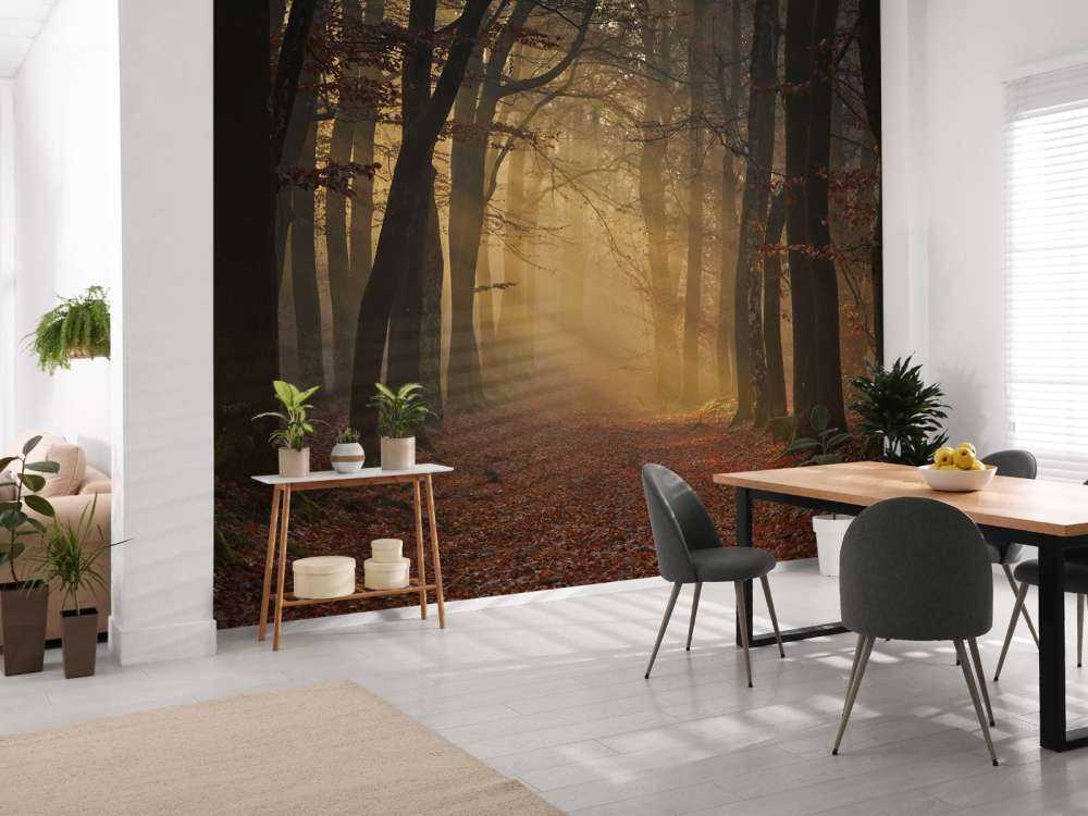 Geheimnisvoller Herbstwald