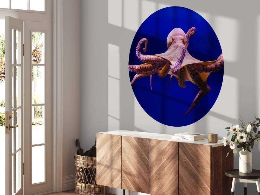 Oktopus