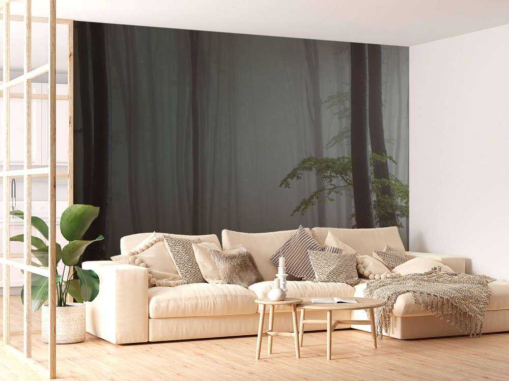 Panorama Nebeliger Wald