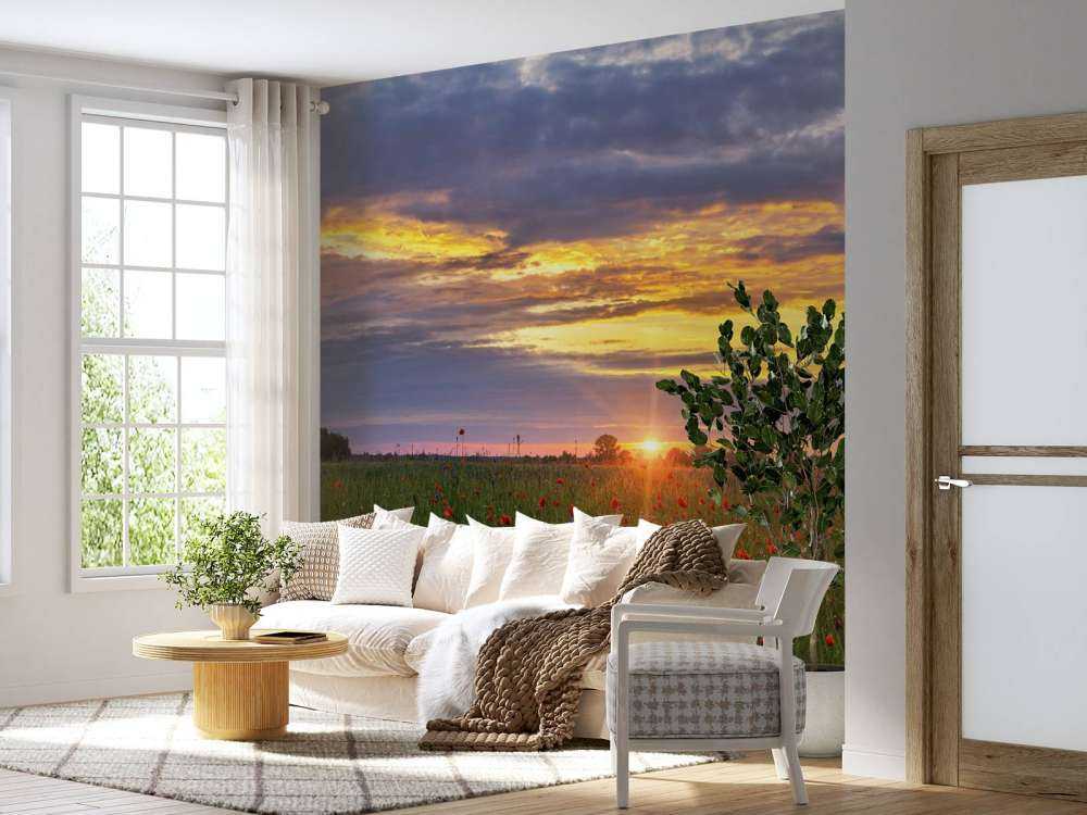Mohnlandschaft