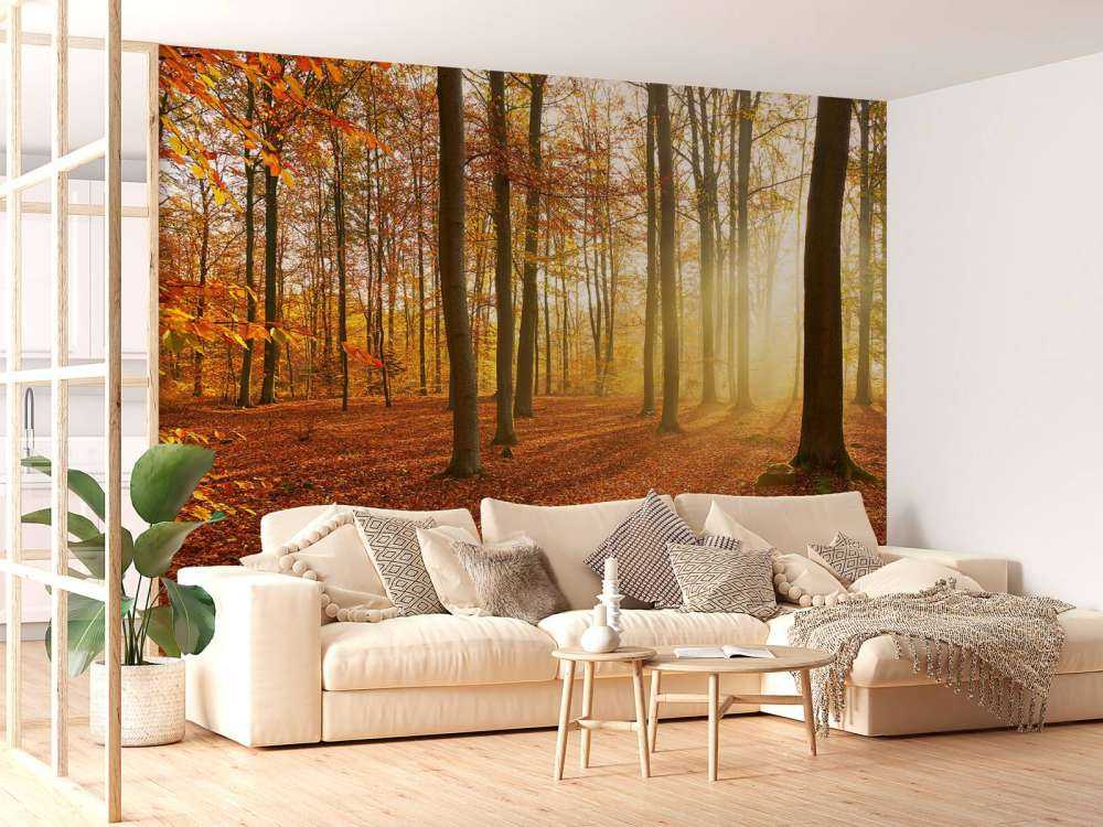 Herbstmorgen im Wald