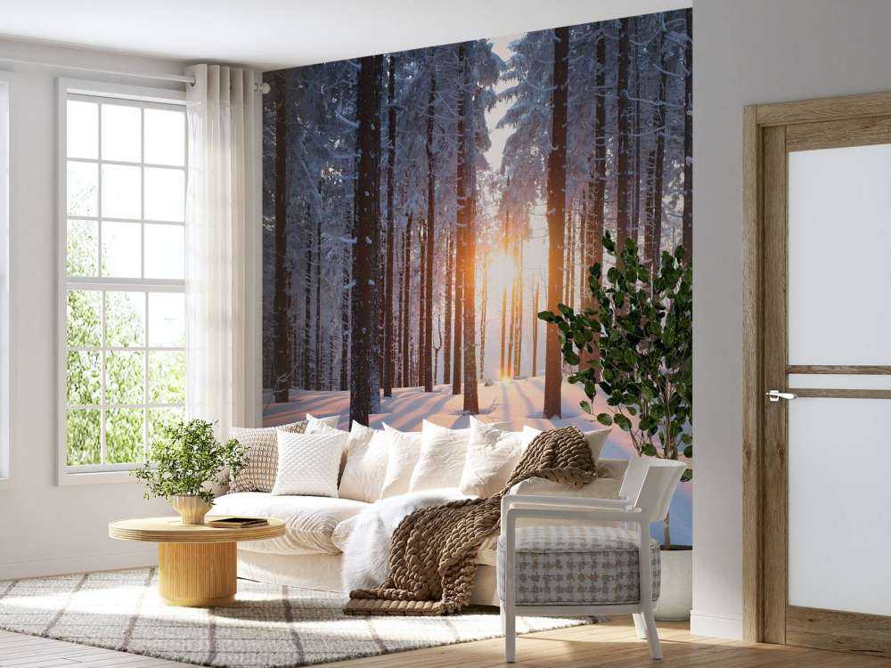 Sonnenuntergang in einem Winterwald