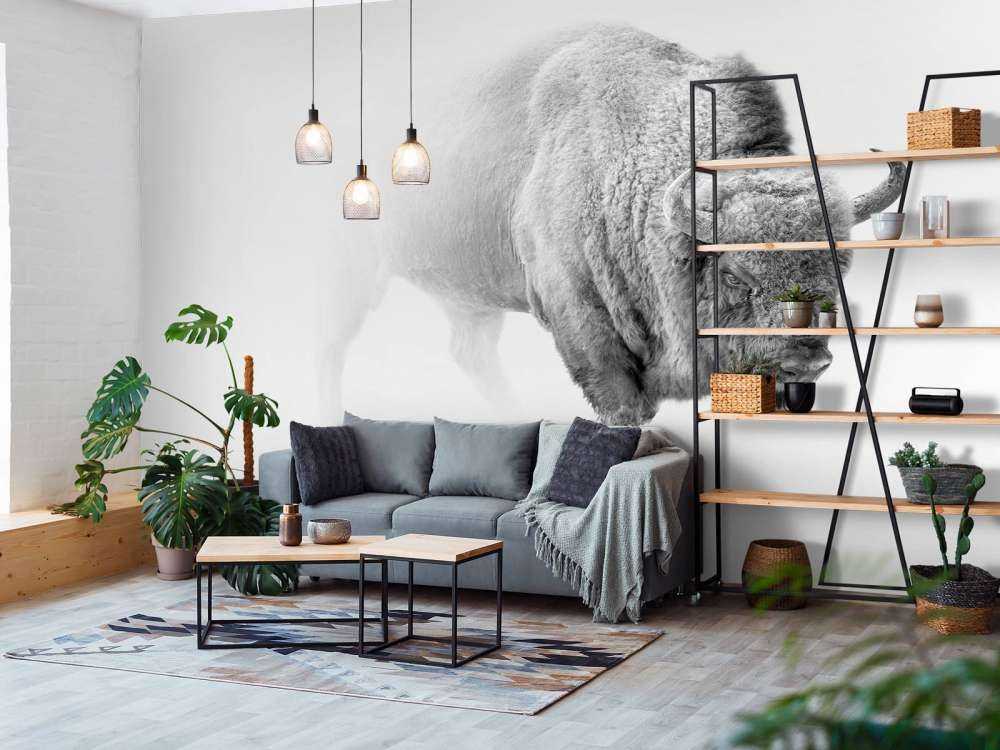 Bison schwarz, weiß