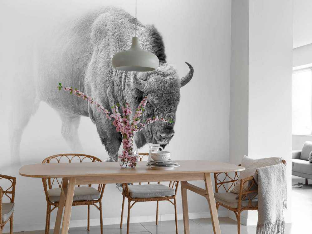 Bison schwarz, weiß