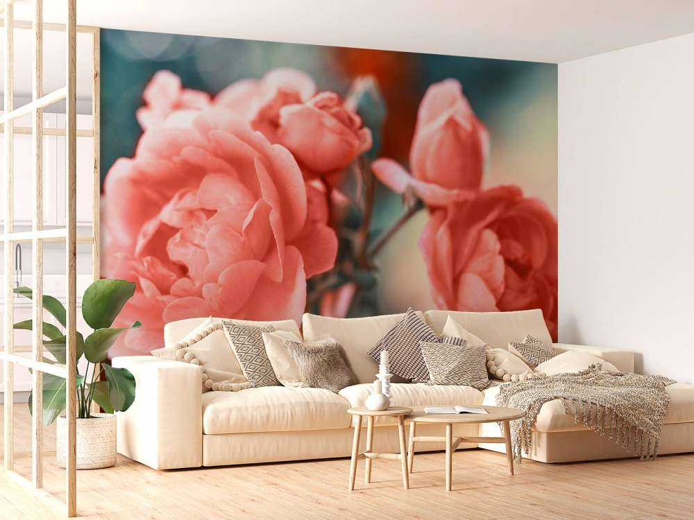 Rosenzweig nach oben