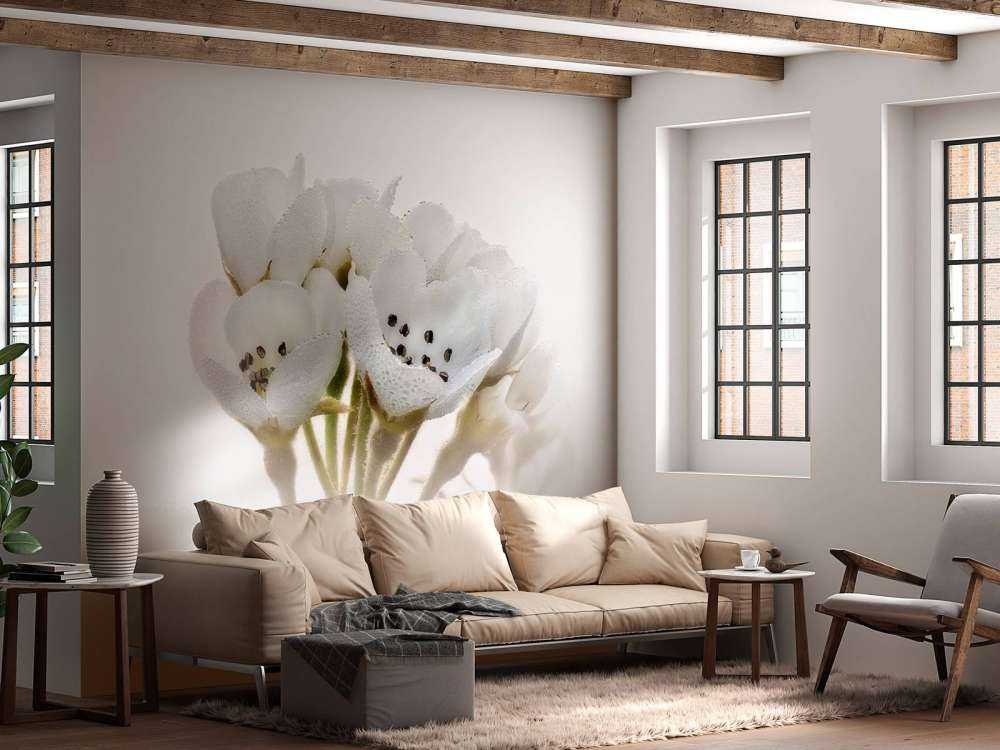 Nahaufnahme der Birnenblüte