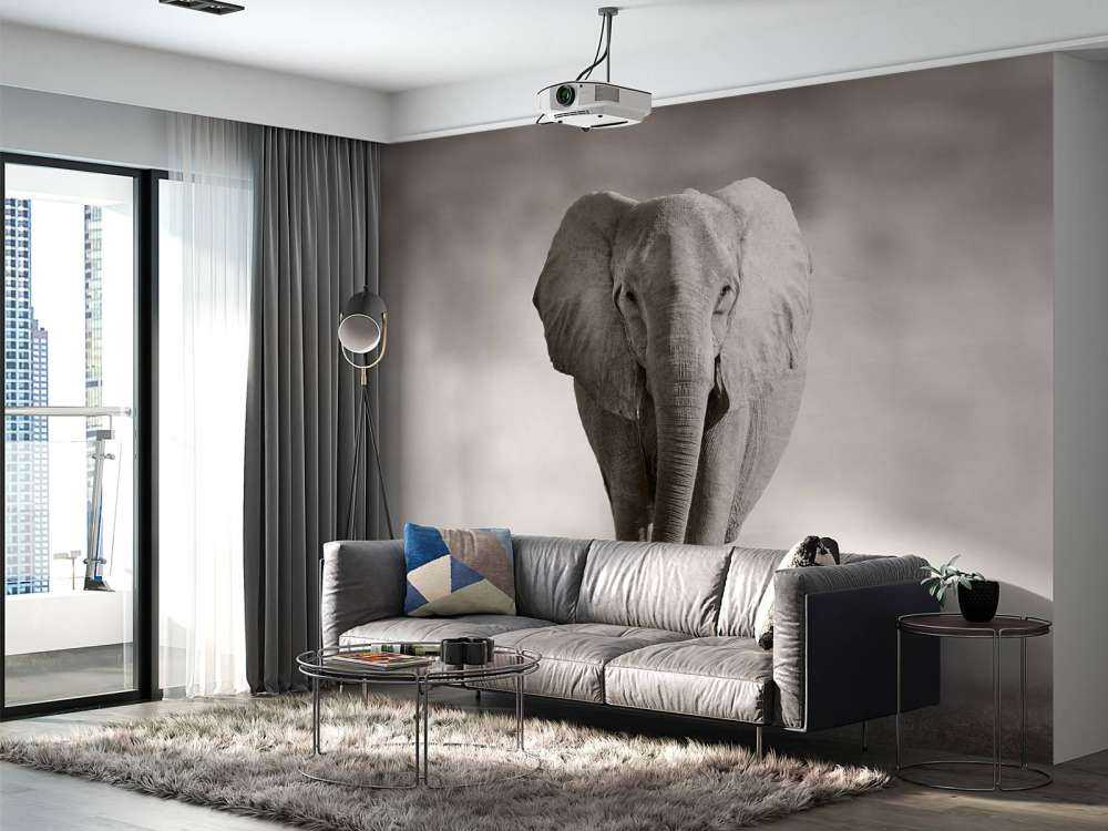 Schöner Elefant