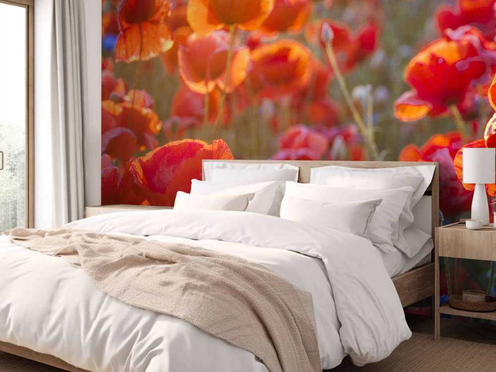 Mohn und Kornblumen