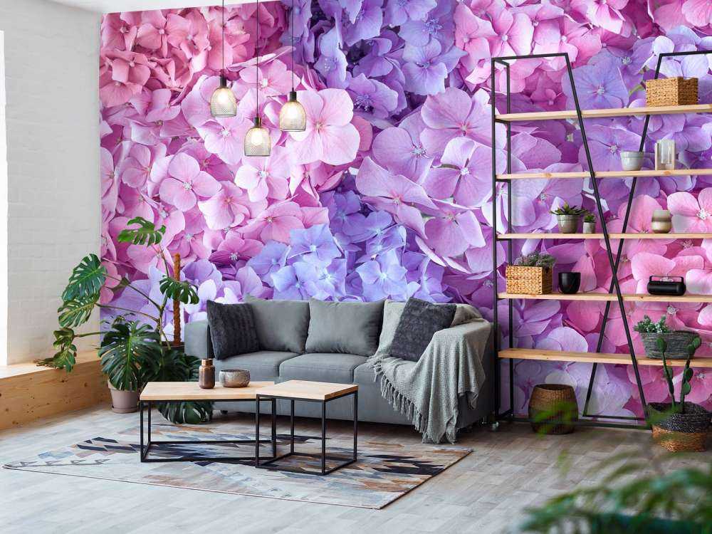 Bunte Hortensien
