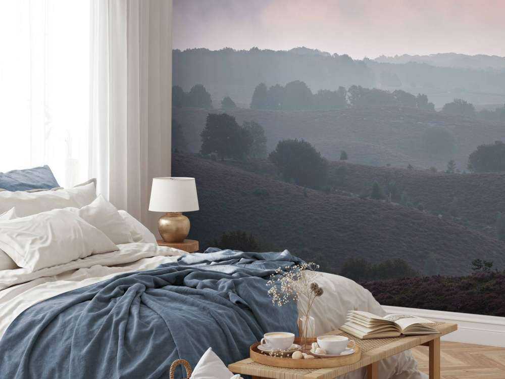 Nebliger Sonnenaufgang in der Heidelandschaft