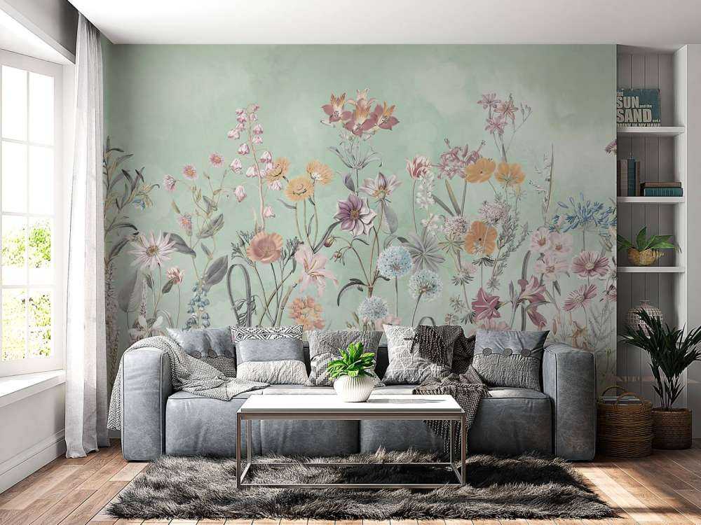 Primula 16