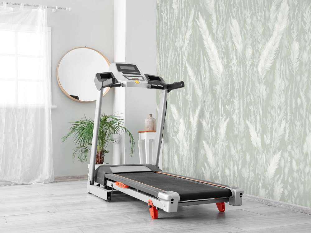 Wand von Feldgräsern - grün