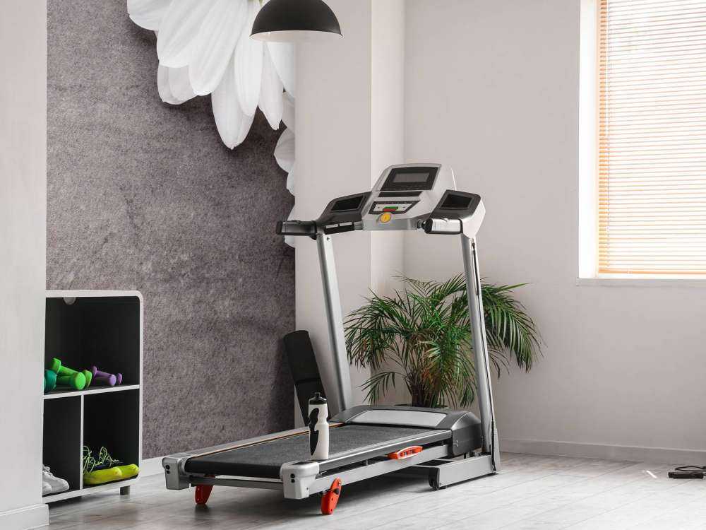 Gänseblümchen und Beton